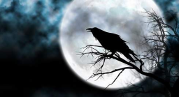 West Coast 🦇 Discord Server Banner