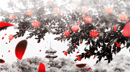 ۶ৎ Saket's Space <3 ⟢⋆. 𐙚 ˚ Discord Server Banner