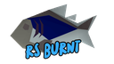 RS Burnt Discord Server Banner