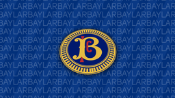 Baylar Toplulugu Discord Server Banner