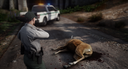 LSPDFR-TS Discord Server Banner