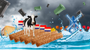 Expats in the Netherlands Discord Server Banner