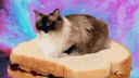 Neptune Discord Server Banner
