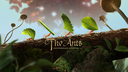 The Ants Official Discord Server Banner