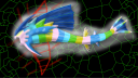 Pokemon Legends Discord Server Banner