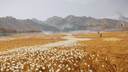 Memer’s Den Discord Server Banner
