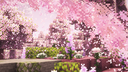 🌸 fairytales Discord Server Banner