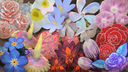 The Studio Lounge Discord Server Banner