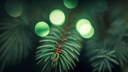 •Glotchy Glotch° 🍀 Discord Server Banner