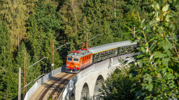Miłosnicy Polskiej Kolei 🚂 Discord Server Banner