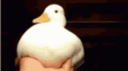 Frag Bots Discord Server Banner