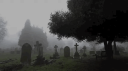 veil Discord Server Banner