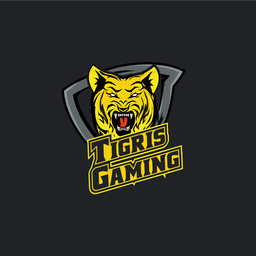 Tigris Gaming Discord Server Banner
