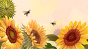 sunflower study Discord Server Banner