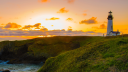 Lighthouse Library Discord Server Banner