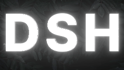 | DSH Server Discord Server Banner