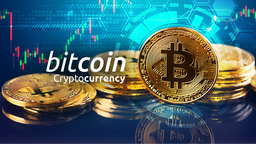Miranda Miner Bitcoin Discord Server Banner