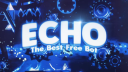 Echo Discord Server Banner