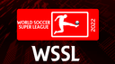 World Soccer Super League Discord Server Banner