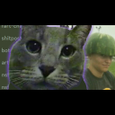 Bopcord Discord Server Banner