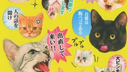 saesori / closed (join yeoubi) Discord Server Banner