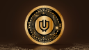 Useless™ Discord Server Banner