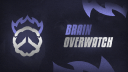 Overwatch Brain Discord Server Banner