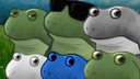 Froge Conservatory Discord Server Banner
