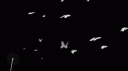 𝖍𝖊𝖑𝖑𝖘𝖎𝖉𝖊 - Community Discord Server Banner