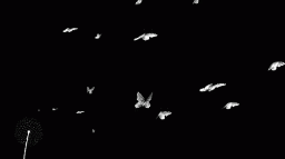 ๐๐๐๐๐๐๐๐ - Community Discord Server Banner