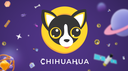 Chihuahua Discord Server Banner