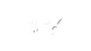 /perdido Discord Server Banner