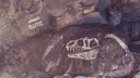 HapticRush Discord Server Banner