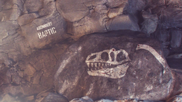 HapticRush Discord Server Banner