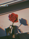 Aditya Codez Discord Server Banner