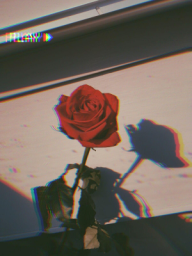 Aditya Codez Discord Server Banner