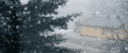 𝐁𝐞𝐬𝐭 𝐅𝐫𝐢𝐞𝐧𝐝 𝐖𝐨𝐫𝐥𝐝 #2026 ム Discord Server Banner