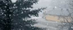 𝐁𝐞𝐬𝐭 𝐅𝐫𝐢𝐞𝐧𝐝 𝐖𝐨𝐫𝐥𝐝 #2026 ム Discord Server Banner