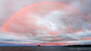 sushi n clouds~ Discord Server Banner