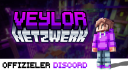 Veylor.NET × Discord Discord Server Banner