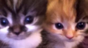 LEE'S CLUB Discord Server Banner