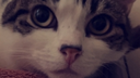 Group HQ Discord Server Banner