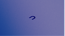 Standard Notes Discord Server Banner