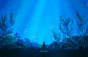 Aurora Discord Server Banner