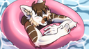 Pawtropolis Discord Server Banner