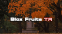 Blox Fruits Turkiye Discord Server Banner