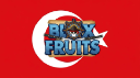 Blox Fruits Turkiye Discord Server Banner