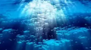 Bridges of Faith Discord Server Banner