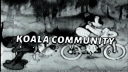 Koala Community Discord Server Banner