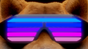 Dogelana Discord Server Banner